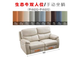 596-2人-生态真皮